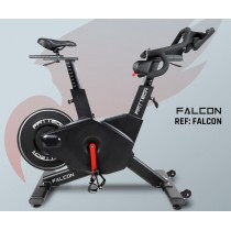 Falcon spininng bicikli